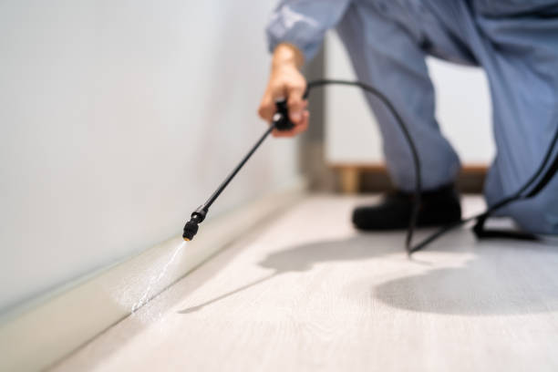 Licensed Fumigation Services service in McMechen, WV - Nex Pest Control
