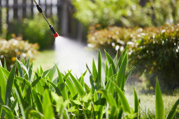 24/7 Emergency Fumigation Services experts in McMechen, WV