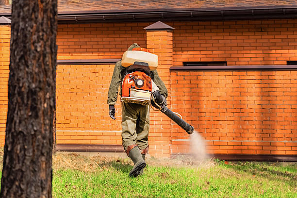 Trusted Ant Control service in McMechen, WV - Nex Pest Control